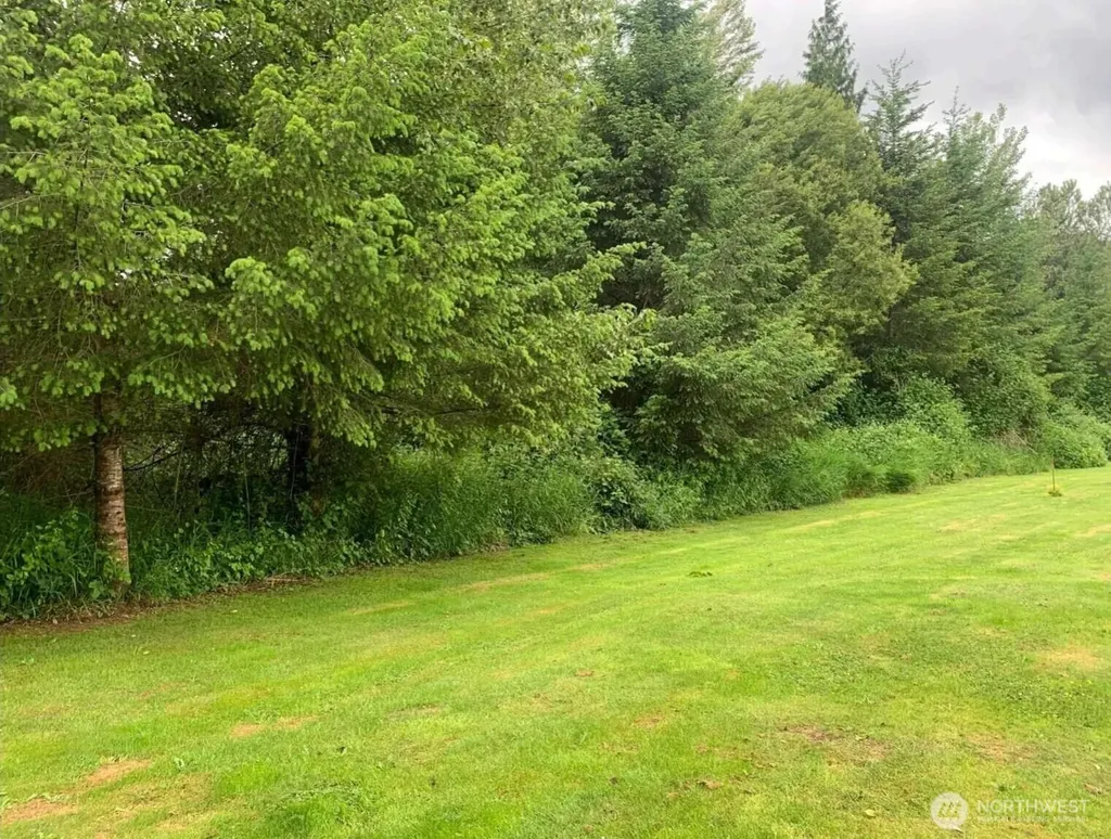 148 Cedar Lane Glenoma WA 98336