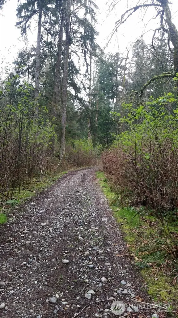 18661 Renton-maple Valley Road Maple Valley WA 98038