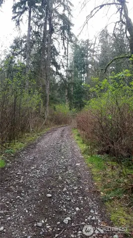 18661 Renton-maple Valley Road Maple Valley WA 98038