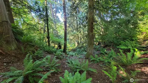 18661 Renton-maple Valley Road Maple Valley WA 98038