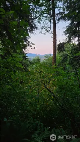 18661 Renton-maple Valley Road Maple Valley WA 98038
