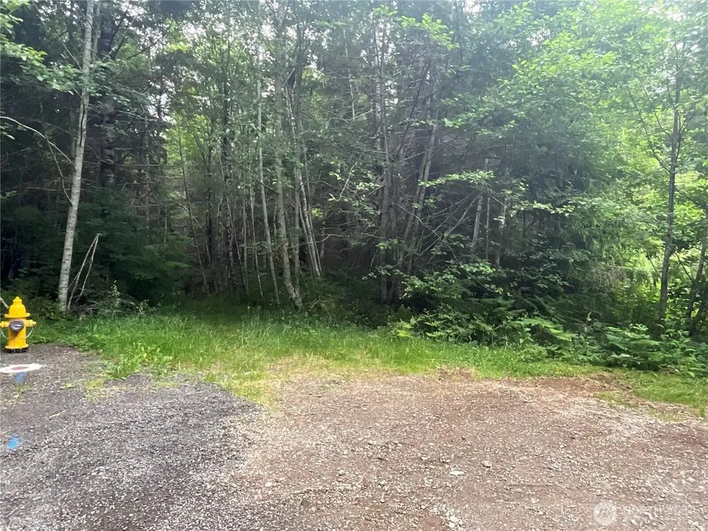 310 W Thunderbird Drive Elma WA 98541