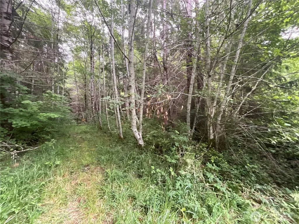 310 W Thunderbird Drive Elma WA 98541