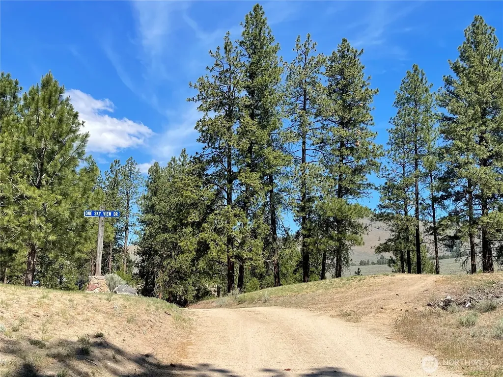 0 111 One Sky View Drive Tonasket WA 98855