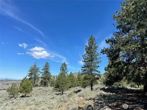 0 111 One Sky View Drive Tonasket WA 98855