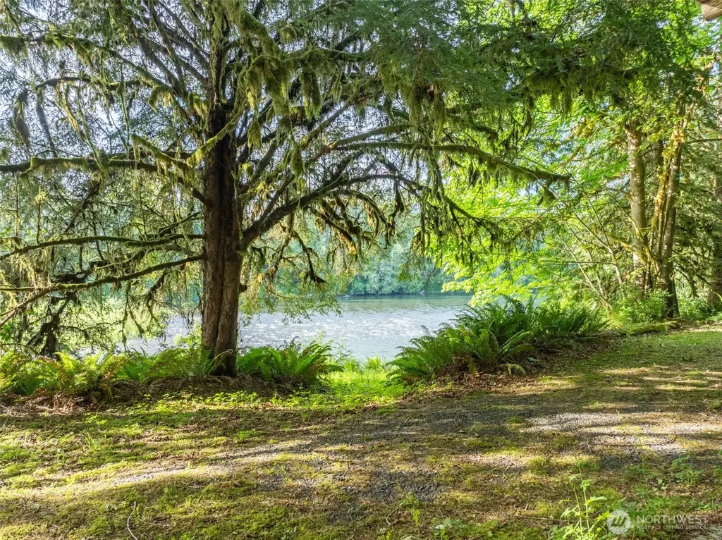 227 Cougar Lane Toledo WA 98591