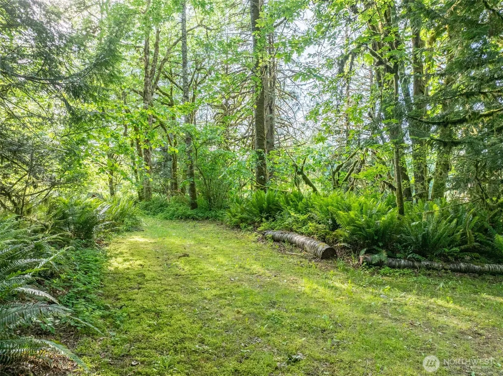227 Cougar Lane Toledo WA 98591