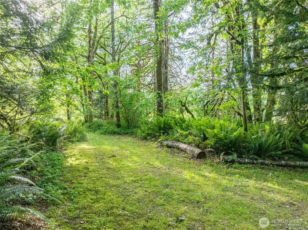 227 Cougar Lane Toledo WA 98591
