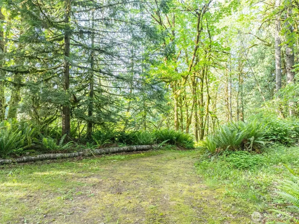 227 Cougar Lane Toledo WA 98591