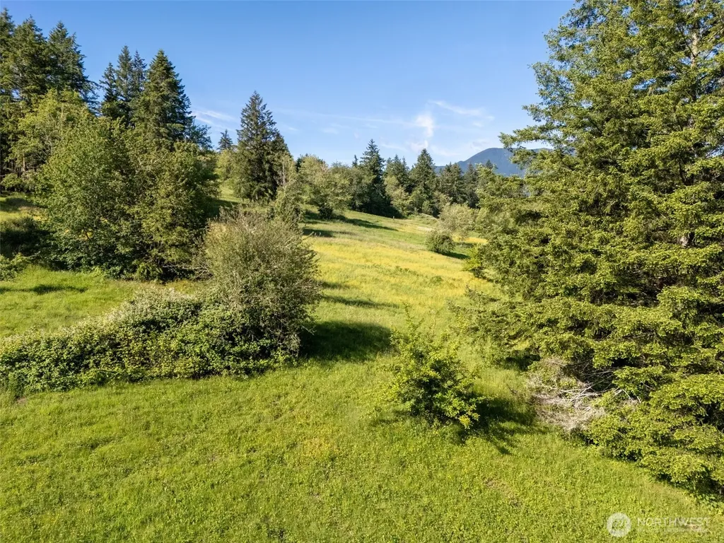 9999 Leland Valley Road Quilcene WA 98376