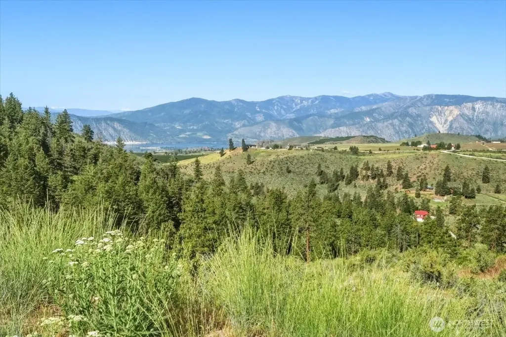 25 Yarrow Place Chelan WA 98816