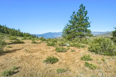 25 Yarrow Place Chelan WA 98816