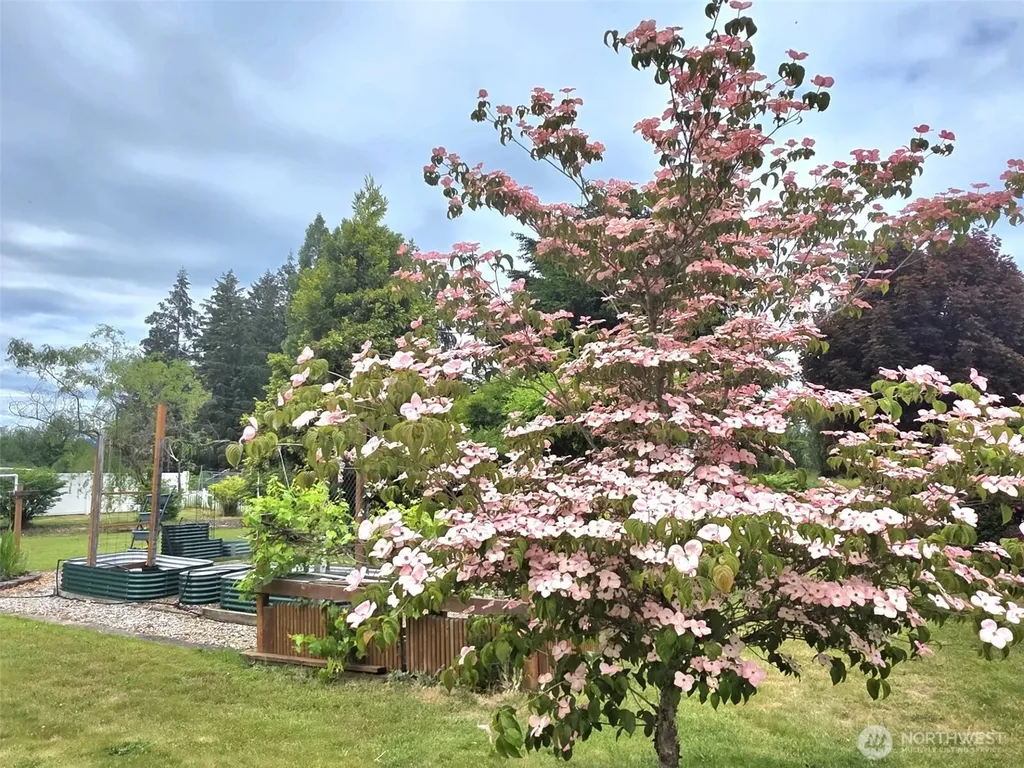 8224 Mullen Road SE Lacey WA 98503