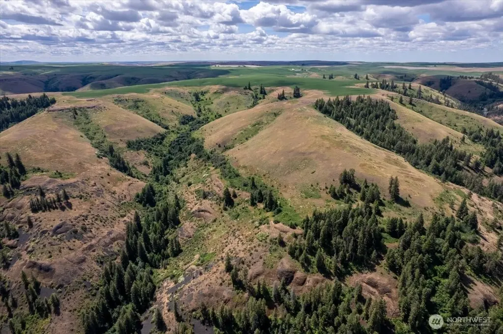 45000 Hanson Harbor Road N Wilbur WA 99185
