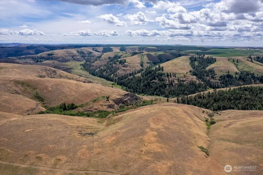 45000 Hanson Harbor Road N Wilbur WA 99185