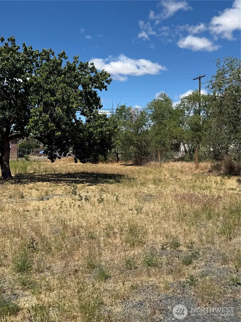 0 S Aster Street Soap Lake WA 98851