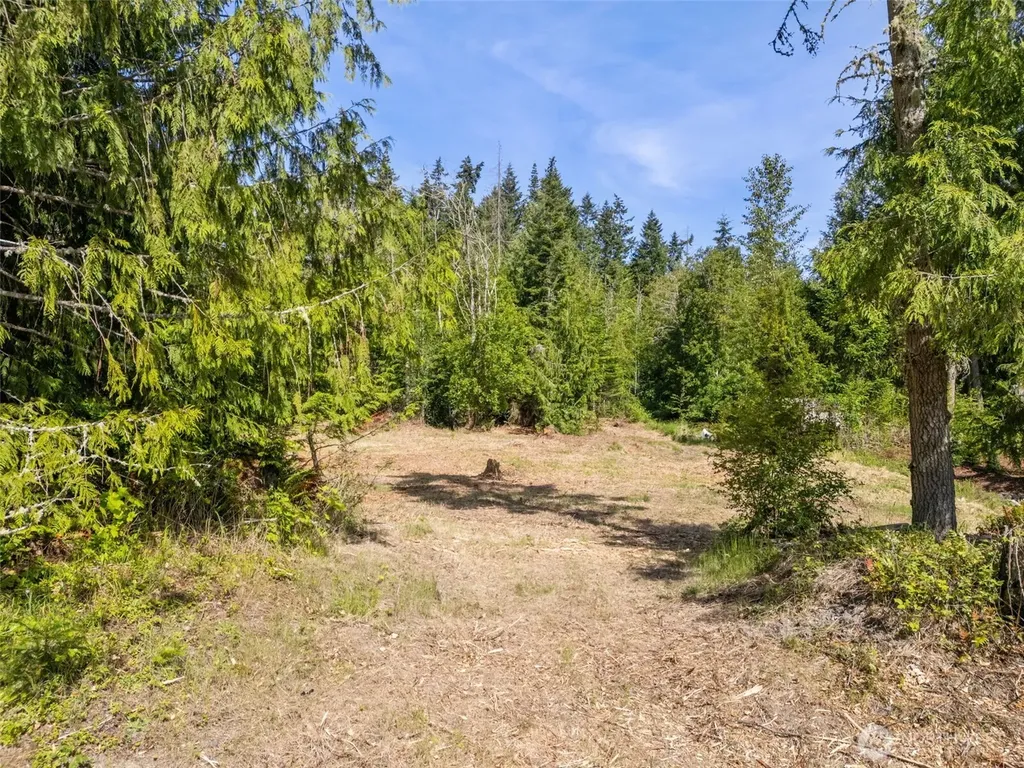 0 Shauna Place Sequim WA 98382