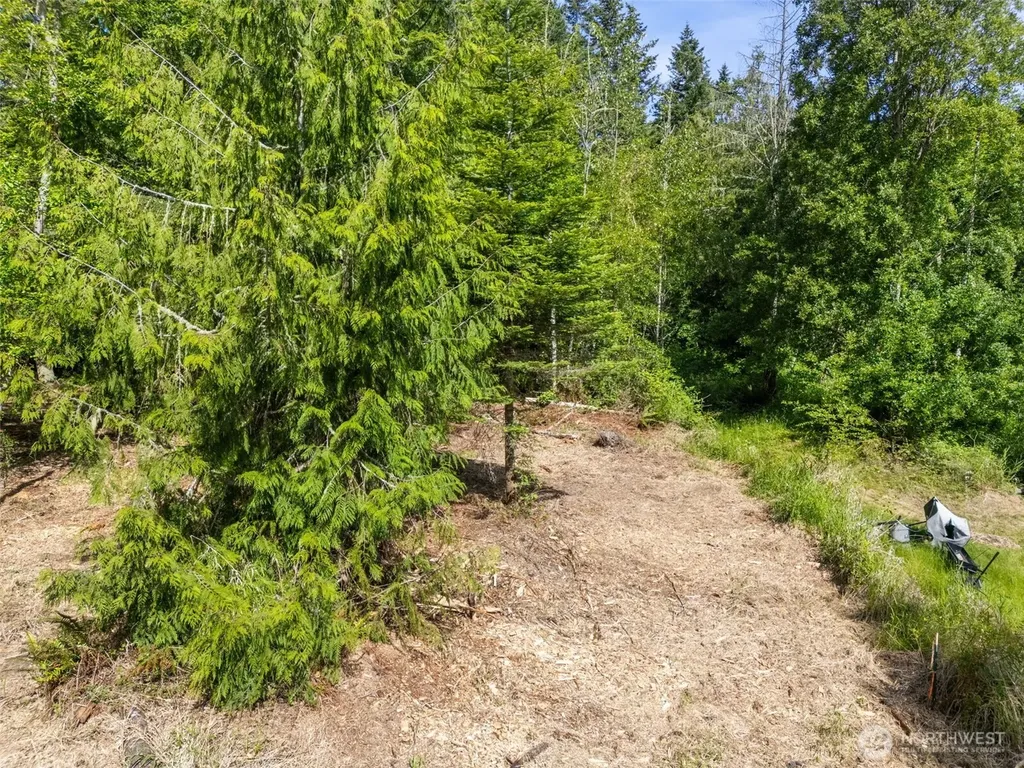 0 Shauna Place Sequim WA 98382