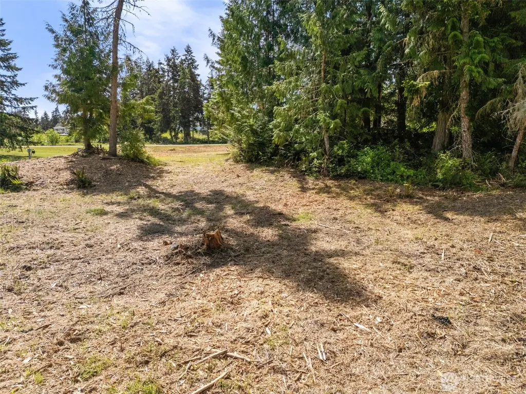 0 Shauna Place Sequim WA 98382