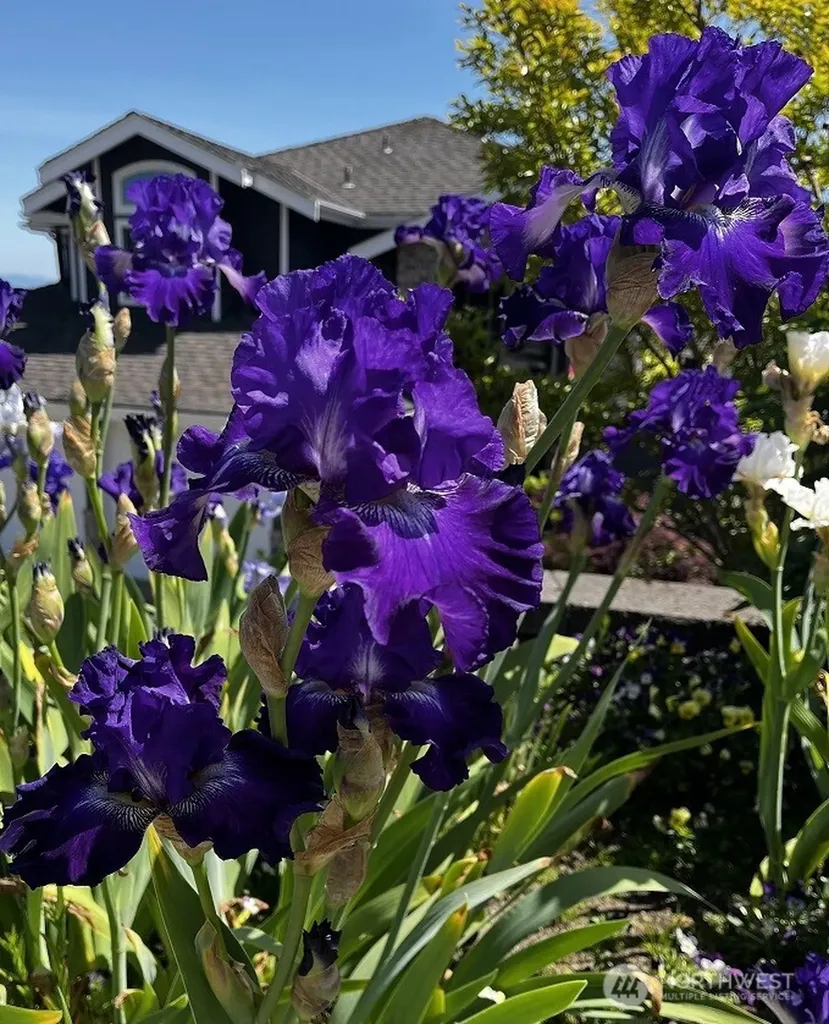 1860 Overview Drive NE Tacoma WA 98422