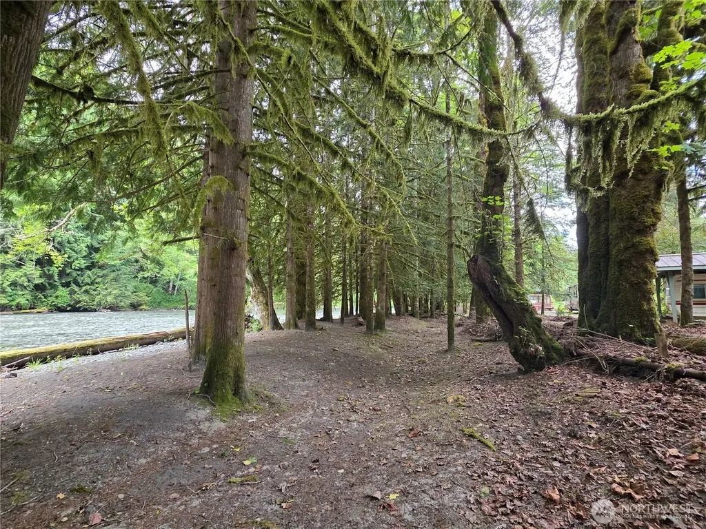 340 Appaloosa Drive Brinnon WA 98320