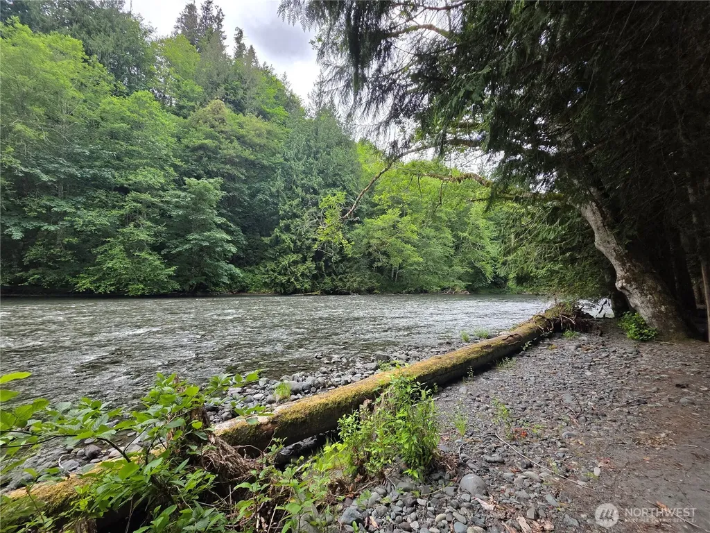 340 Appaloosa Drive Brinnon WA 98320