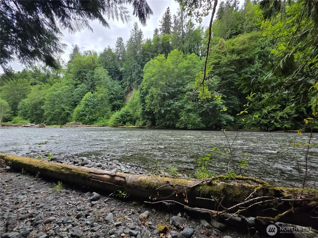 340 Appaloosa Drive Brinnon WA 98320