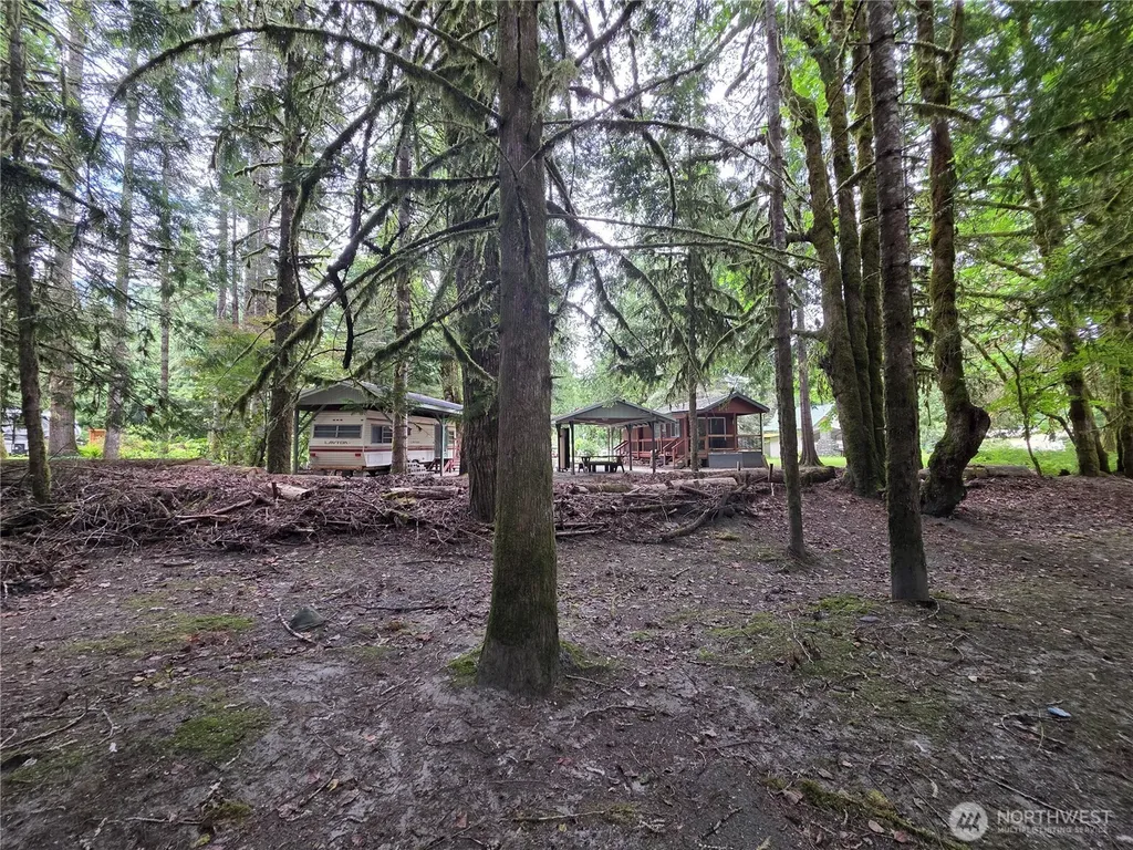 340 Appaloosa Drive Brinnon WA 98320
