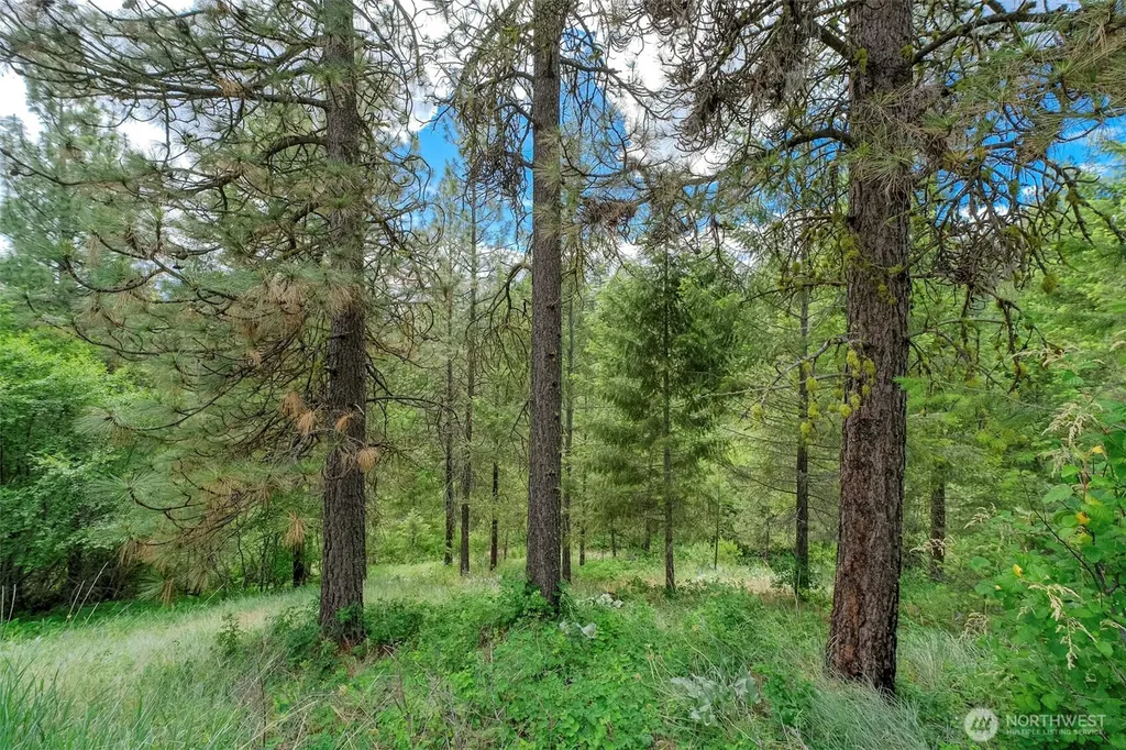 6264 Brisbois Road Fruitland WA 99129