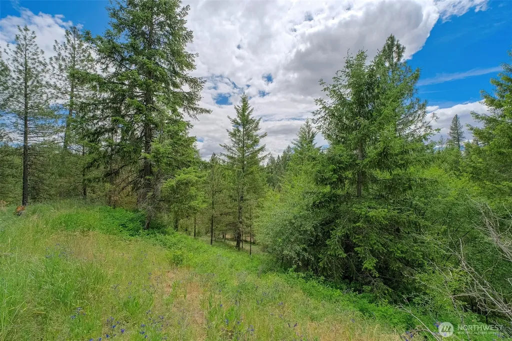 6264 Brisbois Road Fruitland WA 99129