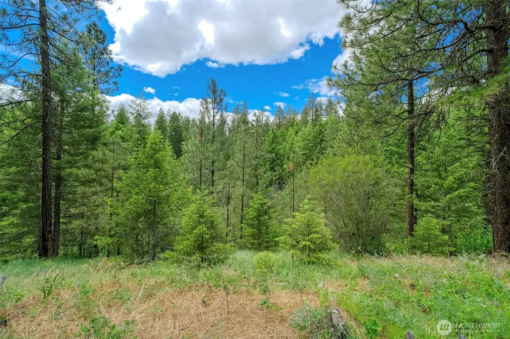 6264 Brisbois Road Fruitland WA 99129