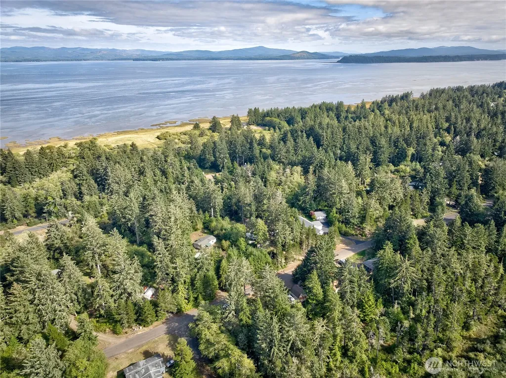 32401 Douglas Drive Ocean Park WA 98640