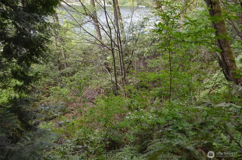 18 Sleepy Hollow Lane Bellingham WA 98226