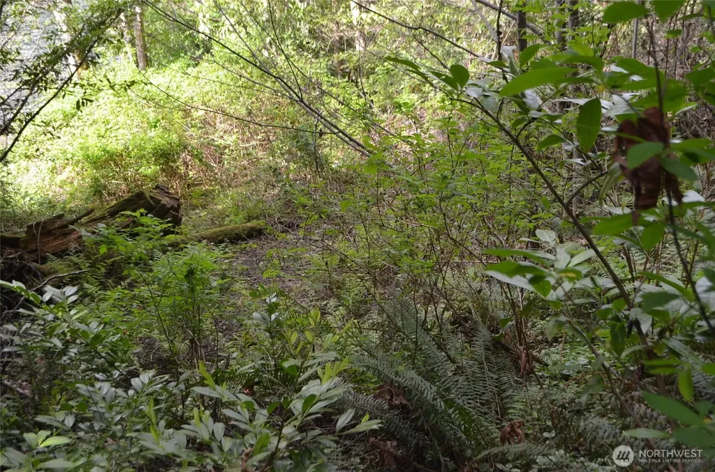 18 Sleepy Hollow Lane Bellingham WA 98226