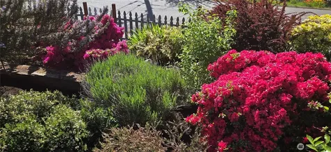 10728 29th Place SW Seattle WA 98146