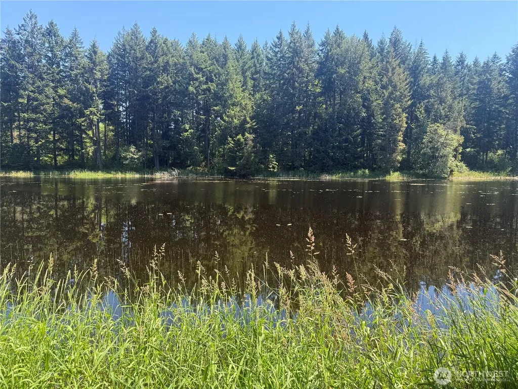 31219 62nd Avenue Ct S Roy WA 98580