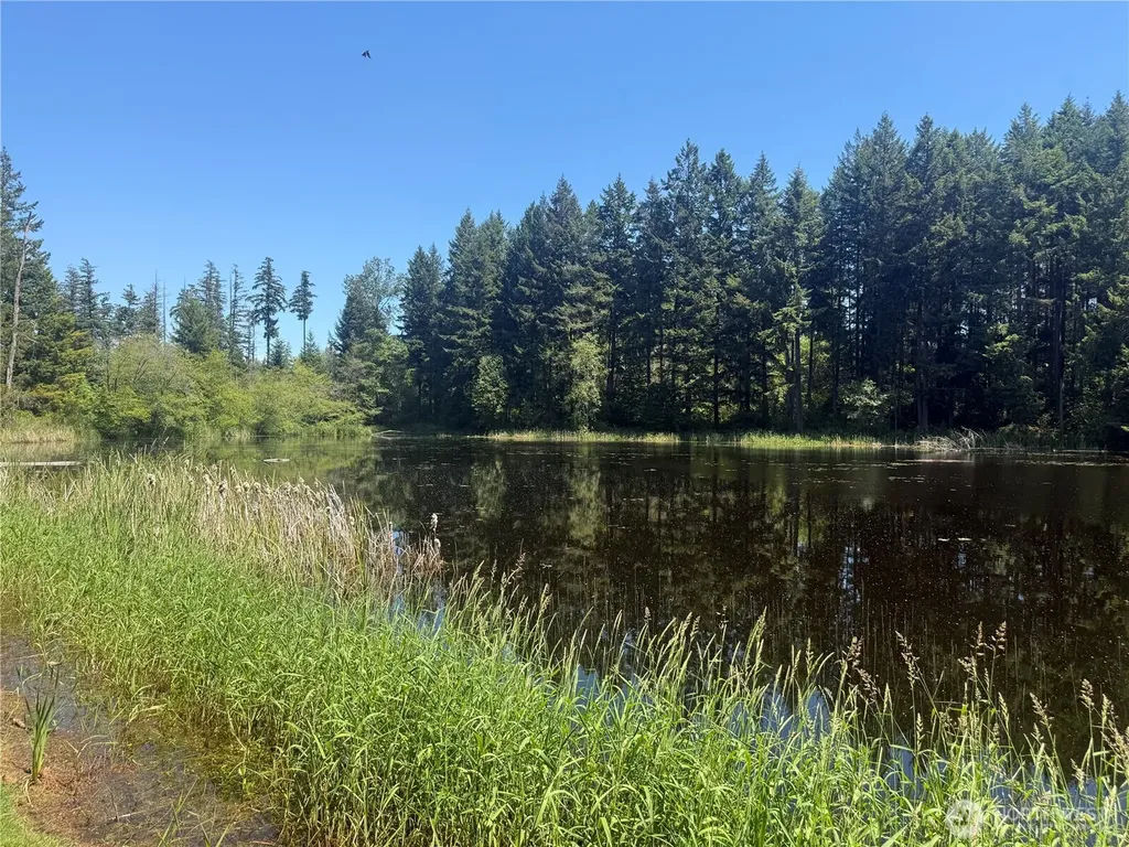 31219 62nd Avenue Ct S Roy WA 98580