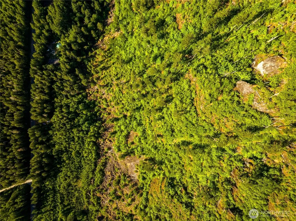 59456 Rockport Cascade Road Marblemount WA 98267