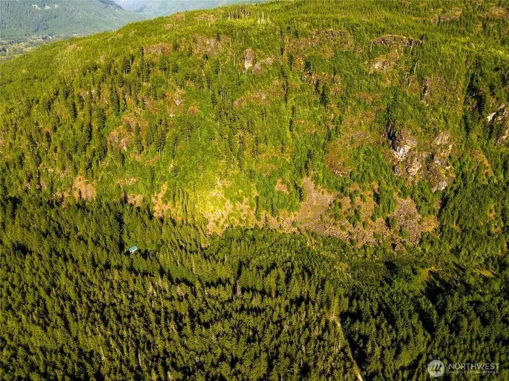 59456 Rockport Cascade Road Marblemount WA 98267