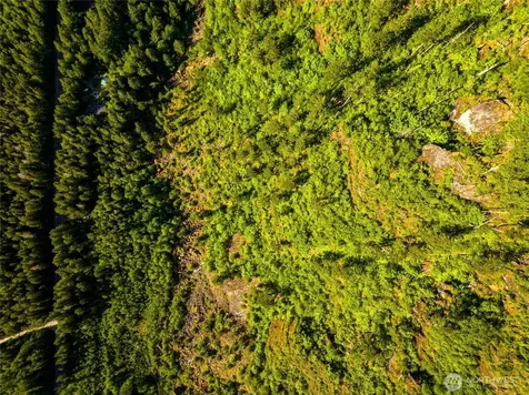 59456 Rockport Cascade Road Marblemount WA 98267