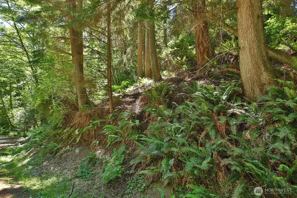 0 George Drive Clinton WA 98236