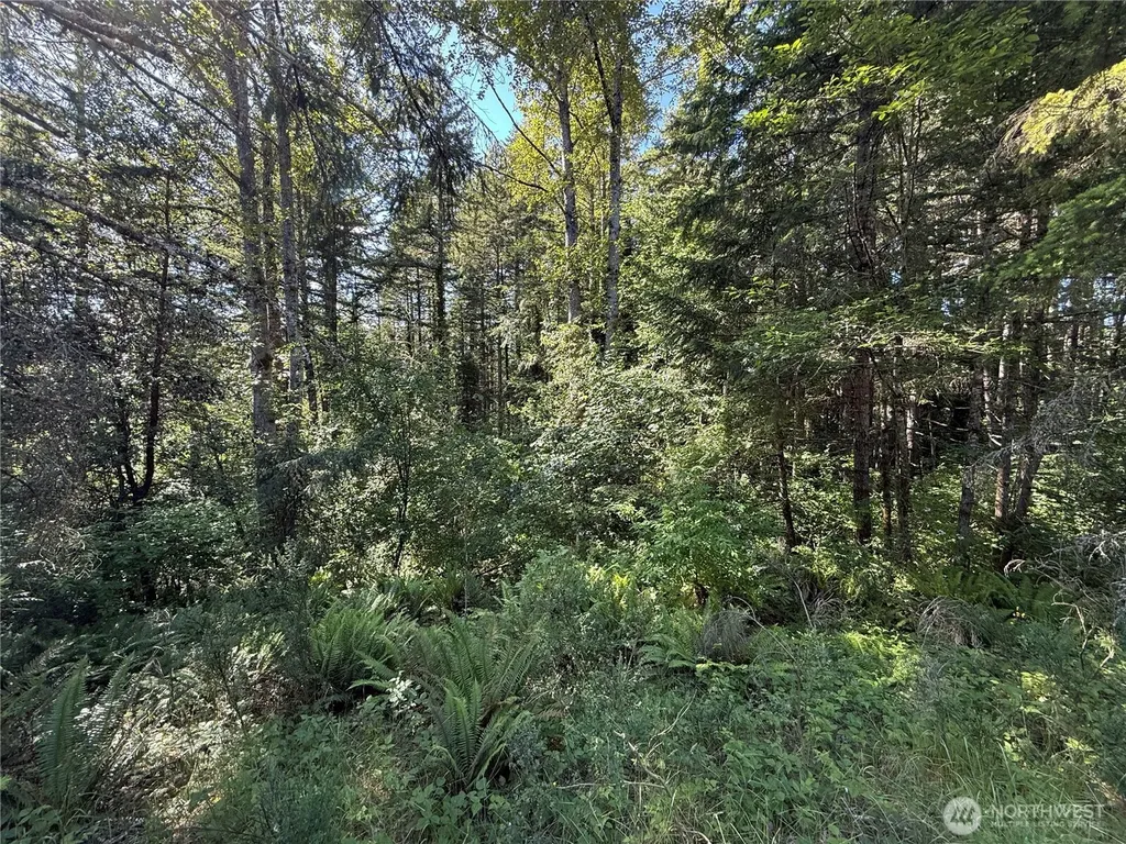 155 62nd Avenue NW Gig Harbor WA 98332
