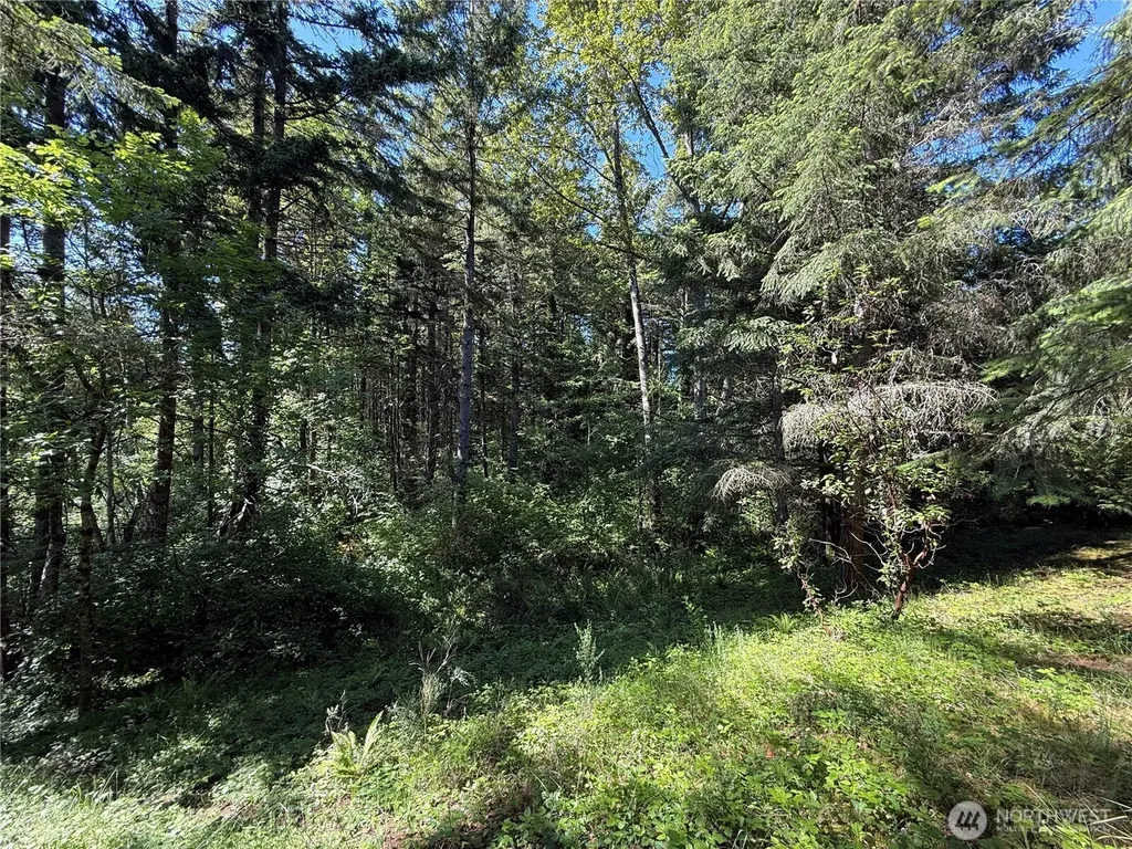 155 62nd Avenue NW Gig Harbor WA 98332