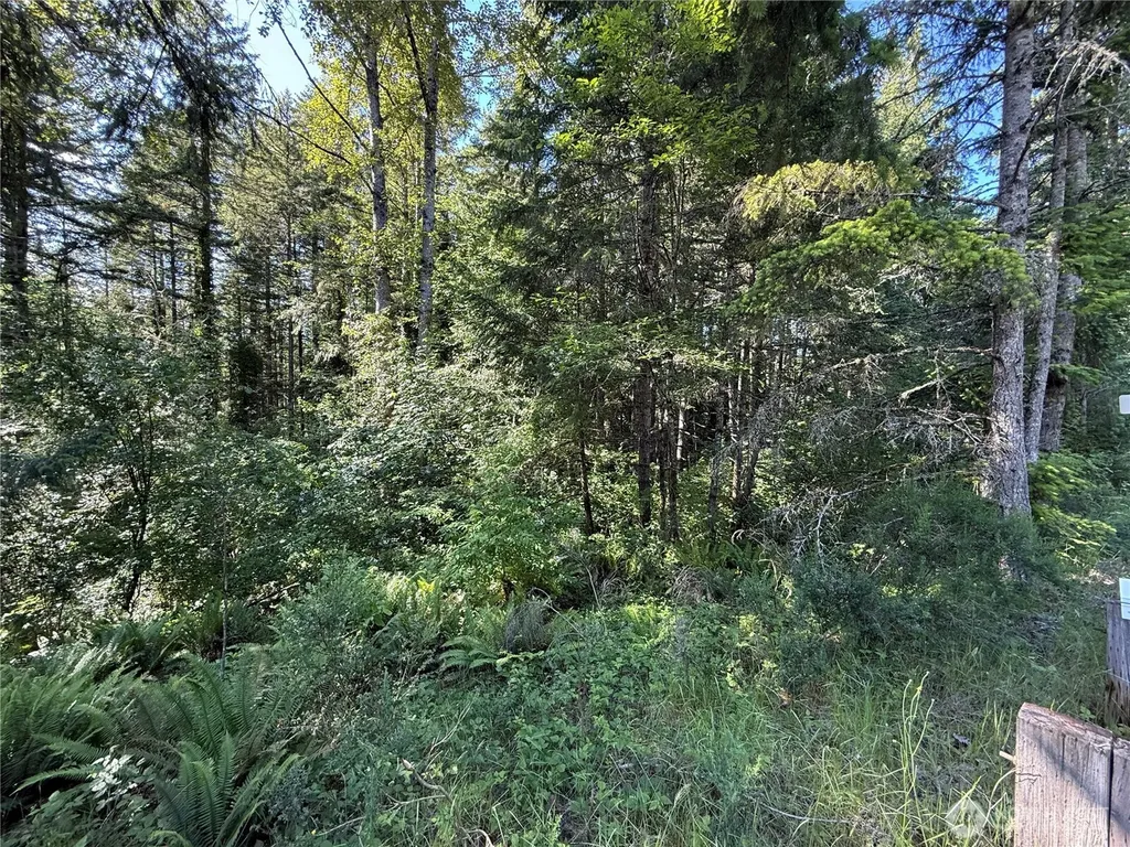 155 62nd Avenue NW Gig Harbor WA 98332