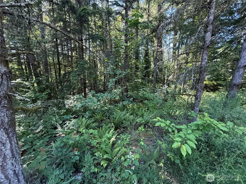 155 62nd Avenue NW Gig Harbor WA 98332