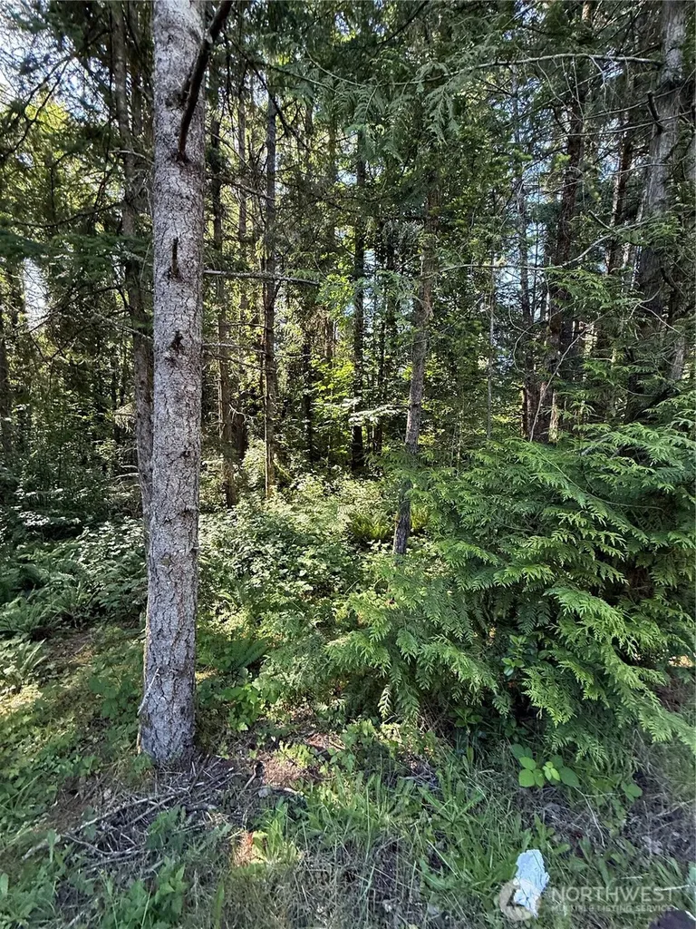 155 62nd Avenue NW Gig Harbor WA 98332
