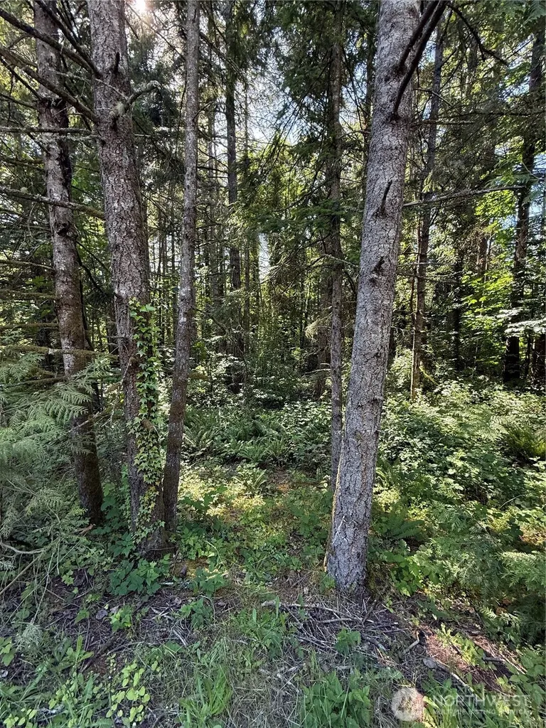 155 62nd Avenue NW Gig Harbor WA 98332