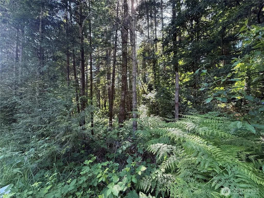 155 62nd Avenue NW Gig Harbor WA 98332