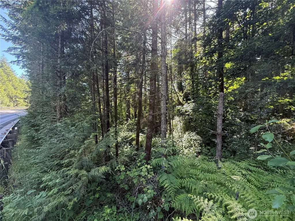 155 62nd Avenue NW Gig Harbor WA 98332