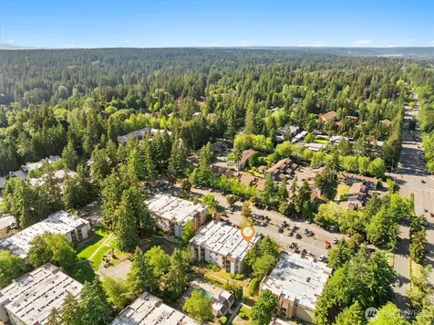 14645 NE 34th Street Bellevue WA 98007